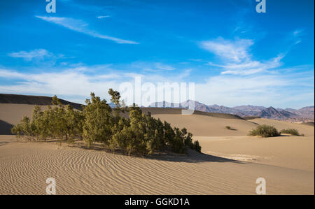 Death Valley National Park, désert de Mojave, la Sierra Nevada, Californie, USA Banque D'Images