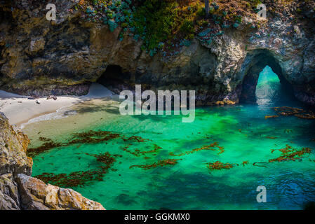 China Beach Californie Point Lobos State Reserve Banque D'Images