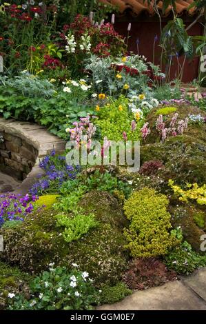 Rock Garden- sur le tuffeau jardin de thé au Chelsea Flower Show 2007 conçu par Kati Crome.- - photos : Photos Hort/designer Banque D'Images