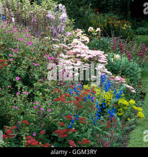 Vivaces - (photos : Photos de l'horticulture/ Maison Jardin Moulton) PGN086679 Phot Banque D'Images