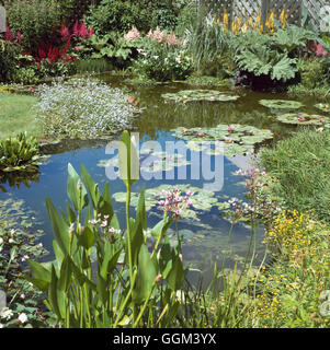 -- Piscine (photos : Photos Hort/Lilies Water Gardens) POO111499 Banque D'Images