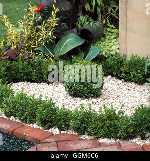 Topiary - 'Ball' et 'Ring' de Buxus (fort) - (photos : Photos Hort/Berkshire College of Agriculture) haut C092453 Banque D'Images