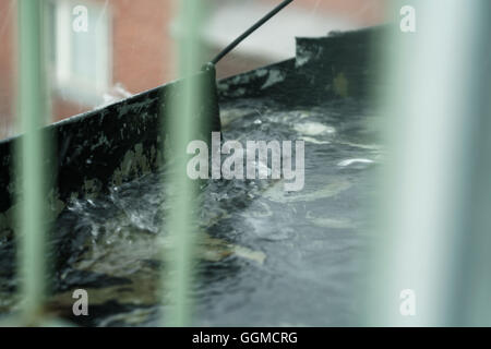 Cours d'eau sur le toit de la pluie Banque D'Images