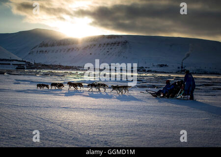 Chien de Traîneau en hiver, Longyearbyen au Spitzberg, dans l'arrière-plan, Spitzberg, Svalbard, Norvège Banque D'Images