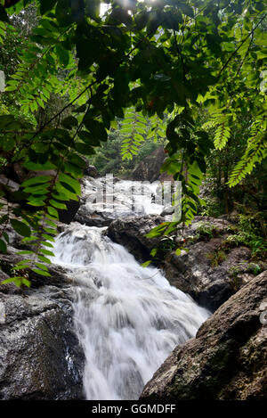 Cascade de Phaeng Khao, l'île de Pha Ngan, le Golf de Thaïlande, Thaïlande Banque D'Images