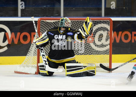 Miika Wiikman du GMB Nottingham Panthers faisant un gant flashy enregistrer. Banque D'Images