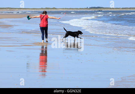 Brancaster, Norfolk, Angleterre, Royaume-Uni. 6 août 2016. Météo britannique. Pieds nus sur la plage à Brancaster. Crédit : Stuart Aylmer/Alamy Live News Banque D'Images