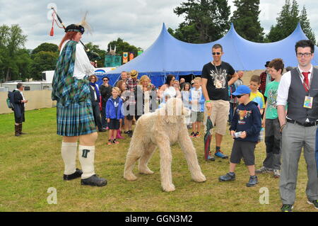 Belladrum, Ecosse, Royaume-Uni. 6 août 2016, les artistes de rue au Cœur du tartan Belladrum Festival, Ecosse, Royaume-Uni. Crédit : Cameron Cameron Cormack Cormack/Alamy Live News Banque D'Images