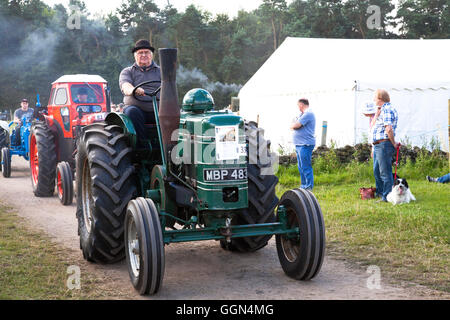 Brackenfield, Derbyshire, Royaume-Uni. 6 août 2016. Un défilé de tracteurs anciens et machines agricoles à la 46e Rallye de la vapeur de Cromford, foules apprécié chaud soleil au rassemblement annuel qui a lieu pour la première fois à Cromford, Derbyshire en août 1970. Un événement populaire pour les amateurs de moteurs de traction à vapeur, vintage des camions, tracteurs et véhicules à moteur. Credit : Mark Richardson/Alamy Live News Banque D'Images