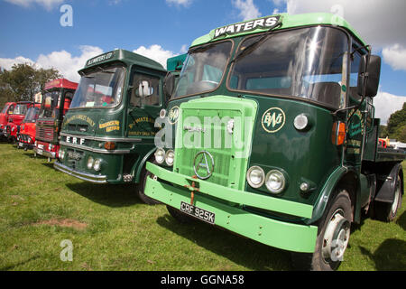 Brackenfield, Derbyshire, Royaume-Uni. 6 août 2016. Les camions d'époque à la 46e Rallye de la vapeur de Cromford, foules apprécié chaud soleil au rassemblement annuel qui a lieu pour la première fois à Cromford, Derbyshire en août 1970. Un événement populaire pour les amateurs de moteurs de traction à vapeur, vintage des camions, tracteurs et véhicules à moteur Crédit : Mark Richardson/Alamy Live News Banque D'Images