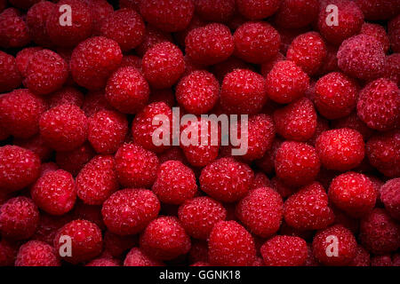 Pile de framboises rouges frais Banque D'Images