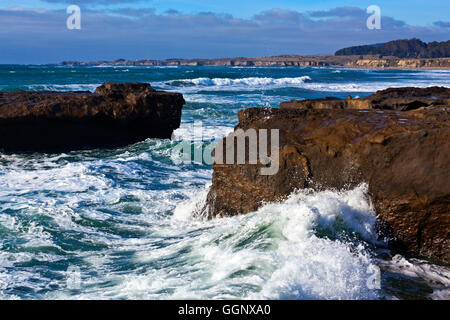 La CÔTE DU PACIFIQUE À ANO NUEVO STATE PARK - Californie Banque D'Images