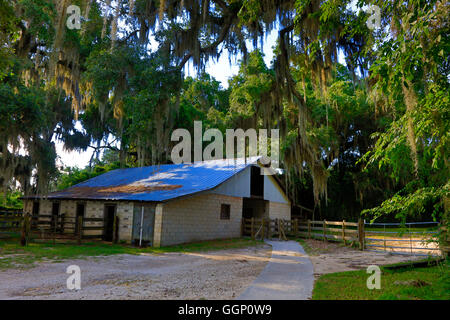 Une grange le long du sentier de la Chua à PAYNES PRAIRIE PRESERVE STATE PARK - Gainesville, Floride Banque D'Images