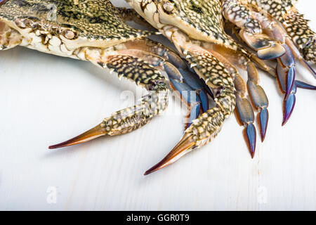 Crabe bleu frais isolé sur blanc. Banque D'Images