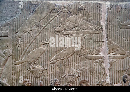 L'Egypte, Saqqara, mastaba de Mererouka vizier (VI° dyn.) : différents reliefs sur les murs. Banque D'Images