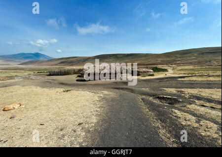 La Tanzanie, le cratère du Ngorongoro, Masai huttes de boue Banque D'Images