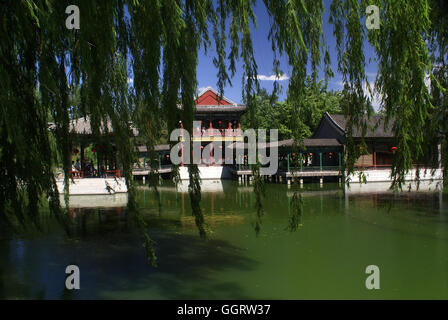 Purple Bamboo Park est l'un des sept plus grands parcs de Beijing, Beijing - Chine Banque D'Images