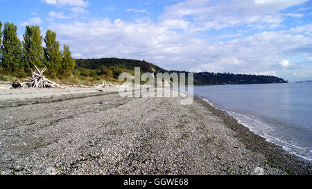 SEATTLE, WASHINGOTN - Septembre 2014 : Driftwood à West Point Lighthouse Banque D'Images