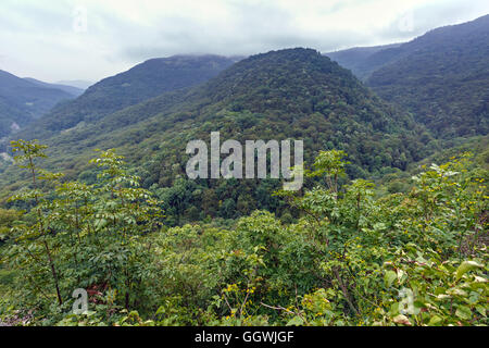 Paysage avec des montagnes couvertes de forêts de feuillus Banque D'Images