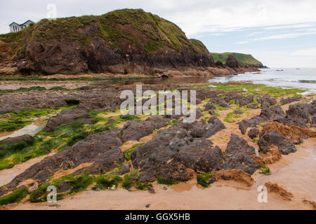 Mouthwell beach, Hope Cove, South Devon, Angleterre, Royaume-Uni. Banque D'Images