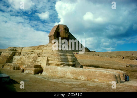 Le sphinx de Gizeh le plateau. Le Caire - Egypte. Banque D'Images