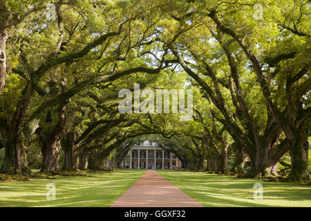 Oak Alley plantation à vacherie, Louisiane, Etats-Unis. (Printemps) Banque D'Images