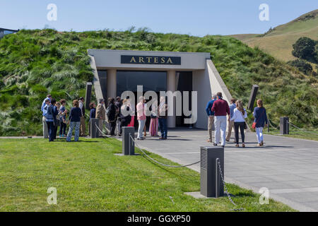 Les gens, les touristes, Artesa Winery, région de Carneros, Napa Valley, California, United States, Amérique du Nord Banque D'Images