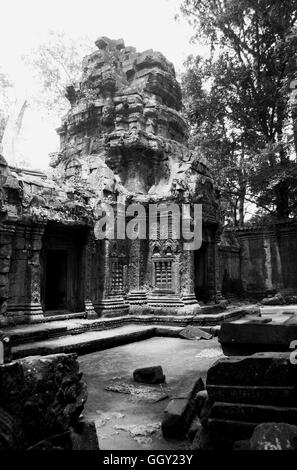 Tour d'angle de la cour centrale dans le Temple de Ta Prohm à Angkor Wat. Siem Reap, Cambodge. Banque D'Images