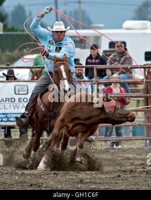 Vancouver, Vancouver. 7e août 2016. Dans particates un cowboy roping bovins au cours de la 144e foire de Chilliwack Chilliwack, en banlieue de Vancouver, le 7 août 2016. La 144e foire de Chilliwack a conclu dimanche. L'élément central de l'une des plus anciennes foires agricultral était son rodeo qui a fait partie de la foire depuis 51 ans attirer des cowboys et cowgirls de l'Ouest du Canada et des États-Unis pour participer à des événements traditionnels inspirés. Crédit : Andrew Soong/Xinhua/Alamy Live News Banque D'Images