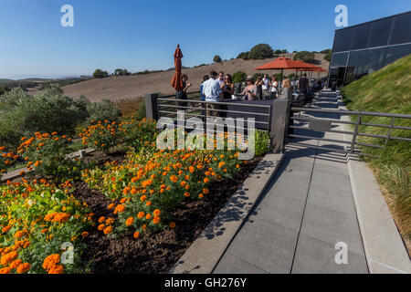 Dégustation de vin, Vista Terrace, Artesa Winery, région de Carneros, Napa Valley, Comté de Napa, California, United States Banque D'Images