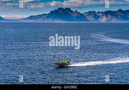 Un bateau gonflable rigide avec des gens qui sortent sur une mer calme sur un safari baleine, Lofoten Banque D'Images
