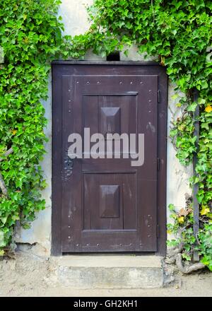 Vieille porte en bois recouverts de lierre vert. Banque D'Images