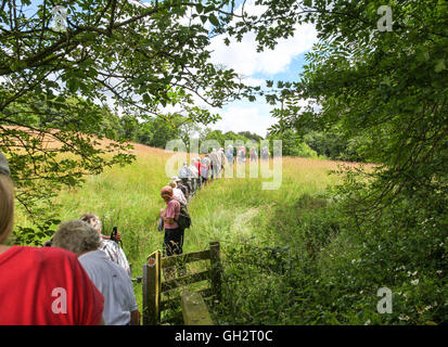 Une ligne de marcheurs sur une marche organisée sur un champ à la campagne Banque D'Images