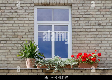 Petite fenêtre en plastique moderne avec des fleurs sur vintage old brick wall background. Banque D'Images