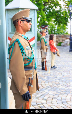 BUDAPEST, HONGRIE - le 24 juillet 2014 : Garde de cérémonie au palais présidentiel. Ils gardent l'entrée des présidents offic Banque D'Images
