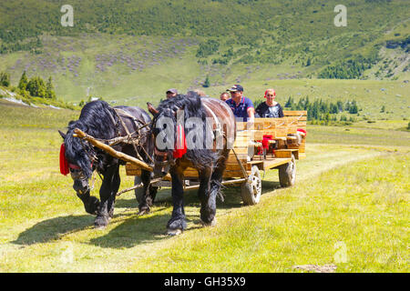 Montagnes Rodna, Roumanie, 05 juillet 2015 : Groupe de touristes à cheval dans les montagnes Rodna panier, Roumanie Banque D'Images