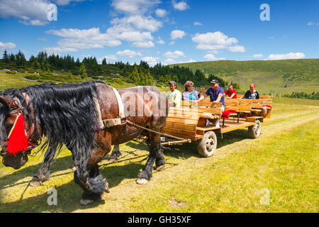 Montagnes Rodna, Roumanie, 05 juillet 2015 : Groupe de touristes à cheval dans les montagnes Rodna panier, Roumanie Banque D'Images