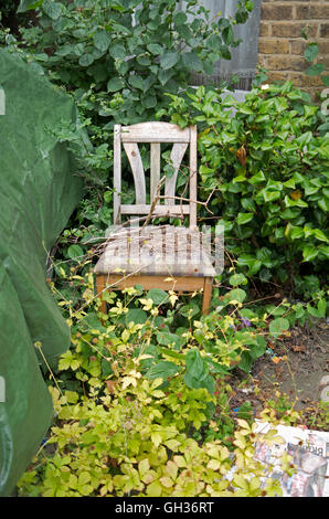 Une chaise dans un jardin envahi par la Banque D'Images