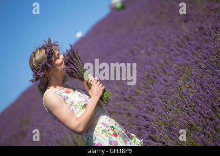 Champs de lavande à Hitchin. Un bel endroit pour être sur une journée Banque D'Images