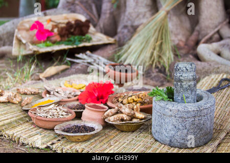 Un traditionnel Ayurveda et la médecine naturelle pierre apothicaire à mortier et pilon, d'herbes et d'épices. Banque D'Images