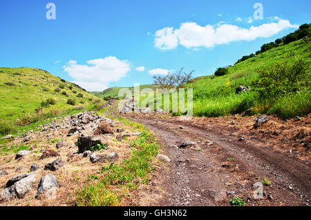 Le chemin de terre menant à la source sur les hauteurs du Golan. Banque D'Images