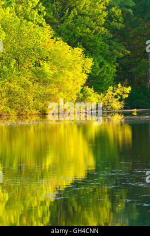 Batterson Park Pond, Batterson Park Pond Rampe de mise à l'État, New Britain, Connecticut Banque D'Images