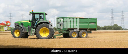 Off, le chargement, l', Harvester, blé, charge, sur l'attente, tracteur, remorque, transport,, il à l'étable, ou de production, Banque D'Images