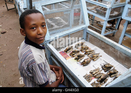 Géographie / billet, en Tanzanie, un jeune homme la vente de poissons sur le marché de Mto Wa Mbu, Additional-Rights Clearance-Info-Not-Available- Banque D'Images