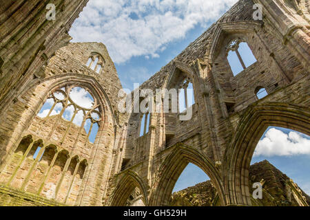 Les ruines de l'abbaye de Tintern dans la vallée de la Wye, Monmouthshire, Wales, UK Banque D'Images