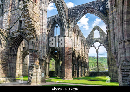 Les ruines de l'abbaye de Tintern dans la vallée de la Wye, Monmouthshire, Wales, UK Banque D'Images