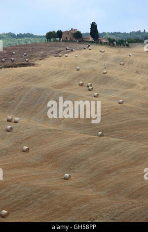 Paysage de Toscane avec villa de luxe, et des olivaies hay bales Banque D'Images