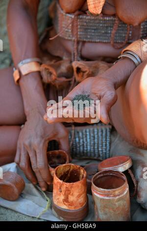 Géographie / voyage, Namibie, femme Himba traditionnel réglage de ghee, crème de peau rouge silencieux des minerais de fer et les herbes bof, Purros, village traditionnel, Purros, Additional-Rights Clearance-Info-Kaokoveld-Not-Available Banque D'Images