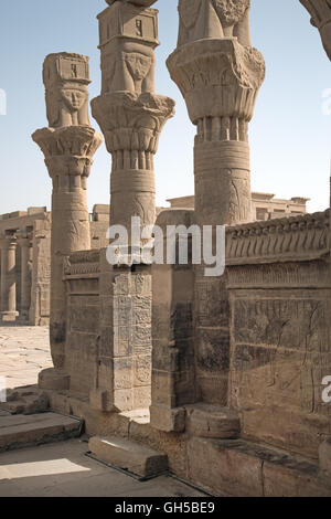 L'Égypte, Assouan, Temple de Phylae dédié à la déesse Isis : un beau capital ptolémaïque Banque D'Images