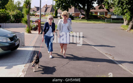 Un Jack Russell Terrier de cadre d'être pris pour une promenade par une femme et sa mère Banque D'Images